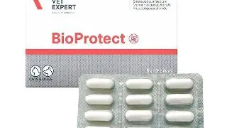 Bioprotect, capsule probiotice pentru caini si pisici