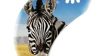 Capac Lesa Ferplast Amigo S Zebra