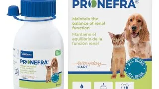Pronefra