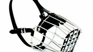 Dingo Botnita Metal Ciobanesc German Nr 6