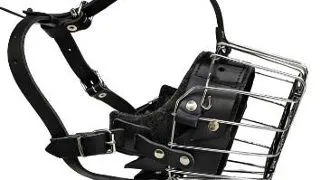 Dingo Botnita Metal Pitbull 14159