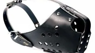 Dingo Botnita Piele Ciobanesc German 4061