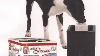 Adapator Fantana Caine Dogit Alfresco 90200