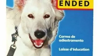 Coa Halti Lesa Antrenament L
