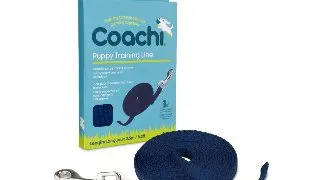 Coa Lesa Dresaj Coachi Puppy 2.5 M 41220A