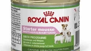 Royal Canin Conserva Starter Mousse 195 g