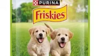 Friskies Dog Plic Junior Pui/Morcovi100 g