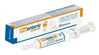 Pro-Enteric Advanced Caine