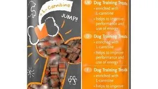 8in1 Recompense Training Pro Energy 100 g