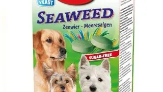 Sanal Vitamine Seaweed 100 tab