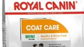 Royal Canin Mini Coat Care Adult 3 Kg