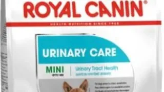 Royal Canin Mini Urinary Care - 1-kg,royal-canin