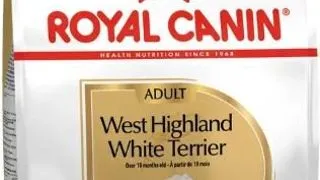 Royal Canin West Highland White Terrier Adult - 1-5-kg,royal-canin