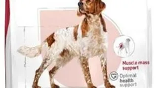 Royal Canin Medium Adult - 15-kg