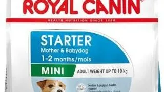 Royal Canin Mini Starter Mother &amp; Babydog - 8-kg,royal-canin