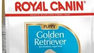 Royal Canin Golden Retriever Puppy - 12-kg,royal-canin