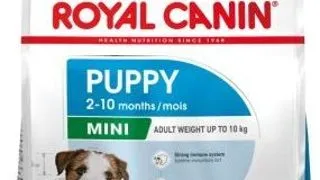 Royal Canin Mini Puppy - 2-kg,royal-canin