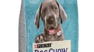 Dog Chow Puppy Large Breed Curcan - 14-kg