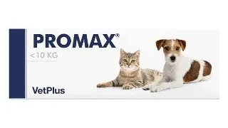 Promax, pasta