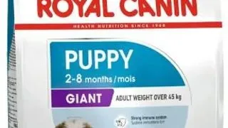 Royal Canin Giant Puppy 1 kg