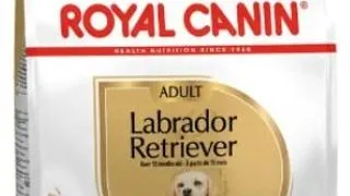Royal Canin Labrador Adult - 3-kg,royal-canin