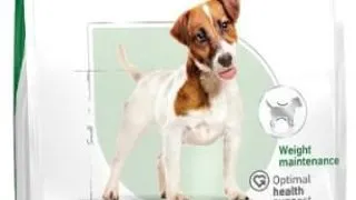 Royal Canin Mini Adult - 2-kg,royal-canin
