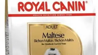 Royal Canin Maltese Adult - 500-g,royal-canin
