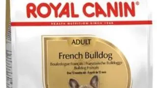 Royal Canin French Bulldog - 3-kg,royal-canin