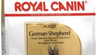 Royal Canin German Shepherd Adult - 3-kg,royal-canin