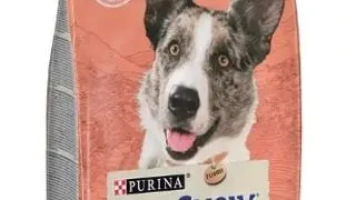 Dog Chow Active Pui 2.5 kg