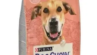 Dog Chow Light Curcan 14 kg