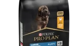 Pro Plan Dog Puppy Large Robust Pui 3 kg
