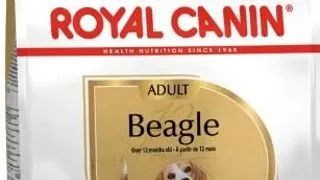 Royal Canin Beagle Adult 3 Kg