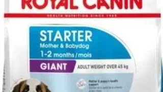 Royal Canin Giant Starter Mother & Babydog 15 kg
