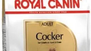 Royal Canin Cocker Adult 3 kg