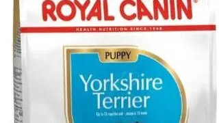 Royal Canin Yorkshire Terrier Puppy - 500-g,royal-canin