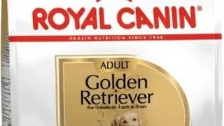 Royal Canin Golden Retriever Adult - 12-kg,royal-canin