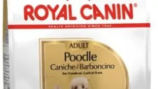 Royal Canin Poodle 1.5 kg