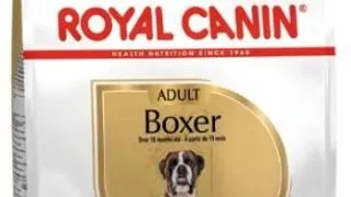 Royal Canin Boxer Adult - 12-kg,royal-canin