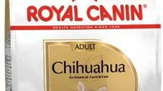 Royal Canin Chihuahua Adult - 500-g,royal-canin
