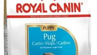 Royal Canin Pug Puppy 1.5 kg
