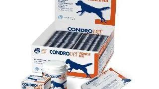 Condrovet Force HA Caine