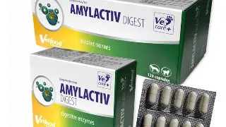 Amylactiv Digest, capsule