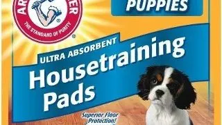 Fresh'N Clean Covor Absorbant Puppy 57X57cm/ 50 Buc