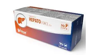 HepatoForce Plus Capsule