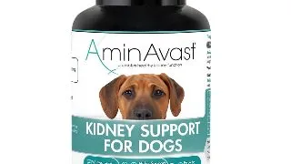 AminAvast Caine, 60 capsule