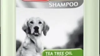 8in1 Sampon Tea Tree Oil 250 ml