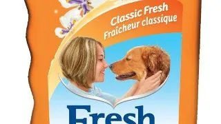 Fresh`N Clean Sampon Scented 533ml