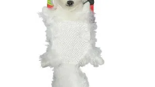 Paiatze Dog Plus Vulpe Polara 510-664
