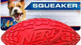 Nerf Minge Football Squeak Rosu/Verde